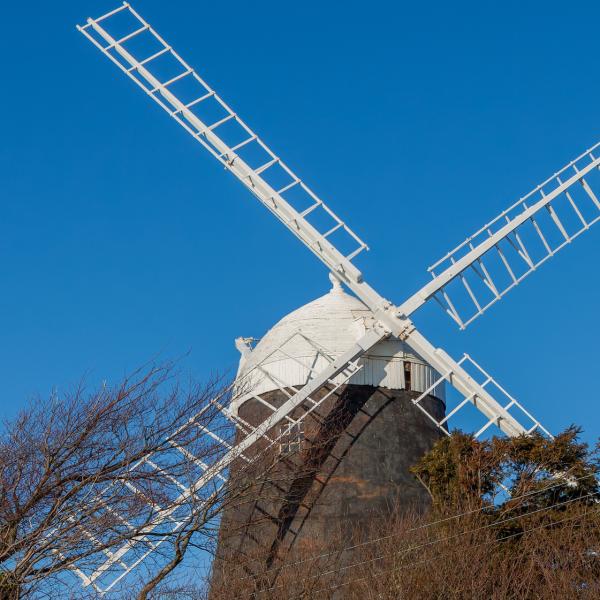 Sussex Family History Group