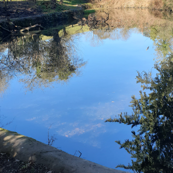 Winterbourne Parish Council